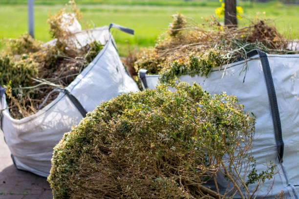 Best Yard Waste Removal  in Rock Hill, SC